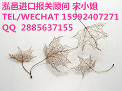 西班牙艺术品进口报关如何操作