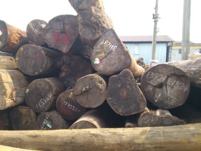 全球木材进口服务全套代理