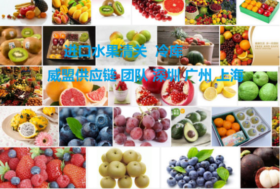 广州进口水果代理报关清关公司