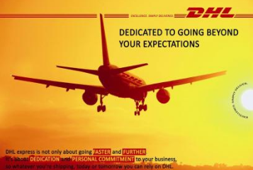 DHL个人物品进口报关需要什么资料呢？可随时咨询