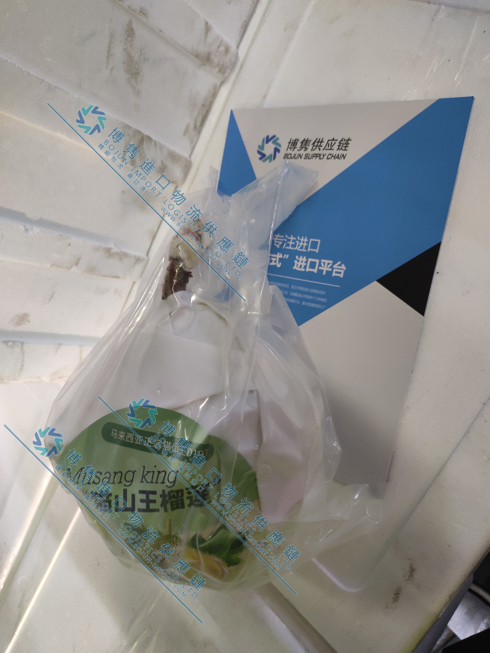 马来西亚猫山王榴莲进口报关