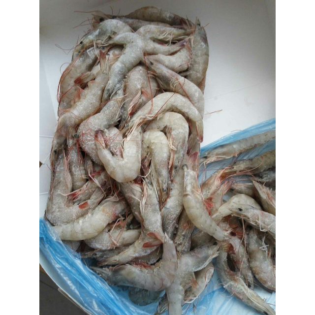 厄瓜多尔进口冻南美白虾清关代理