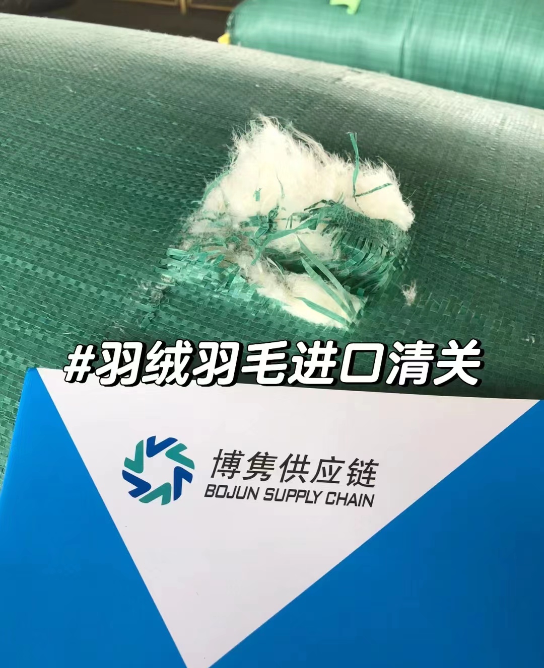 进口羽绒羽毛进口清关