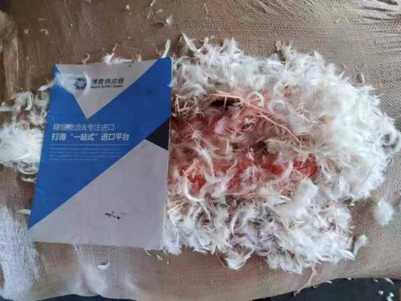   进口鹅毛清关代理公司