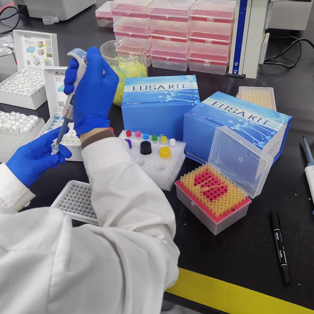 生物试剂进口报关案例解析：快递报关资料的精准处理